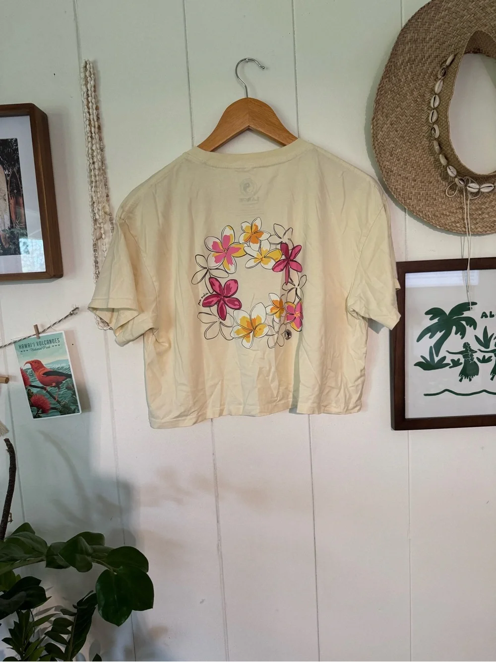 T&C surf hawaii t&csurf hawaii